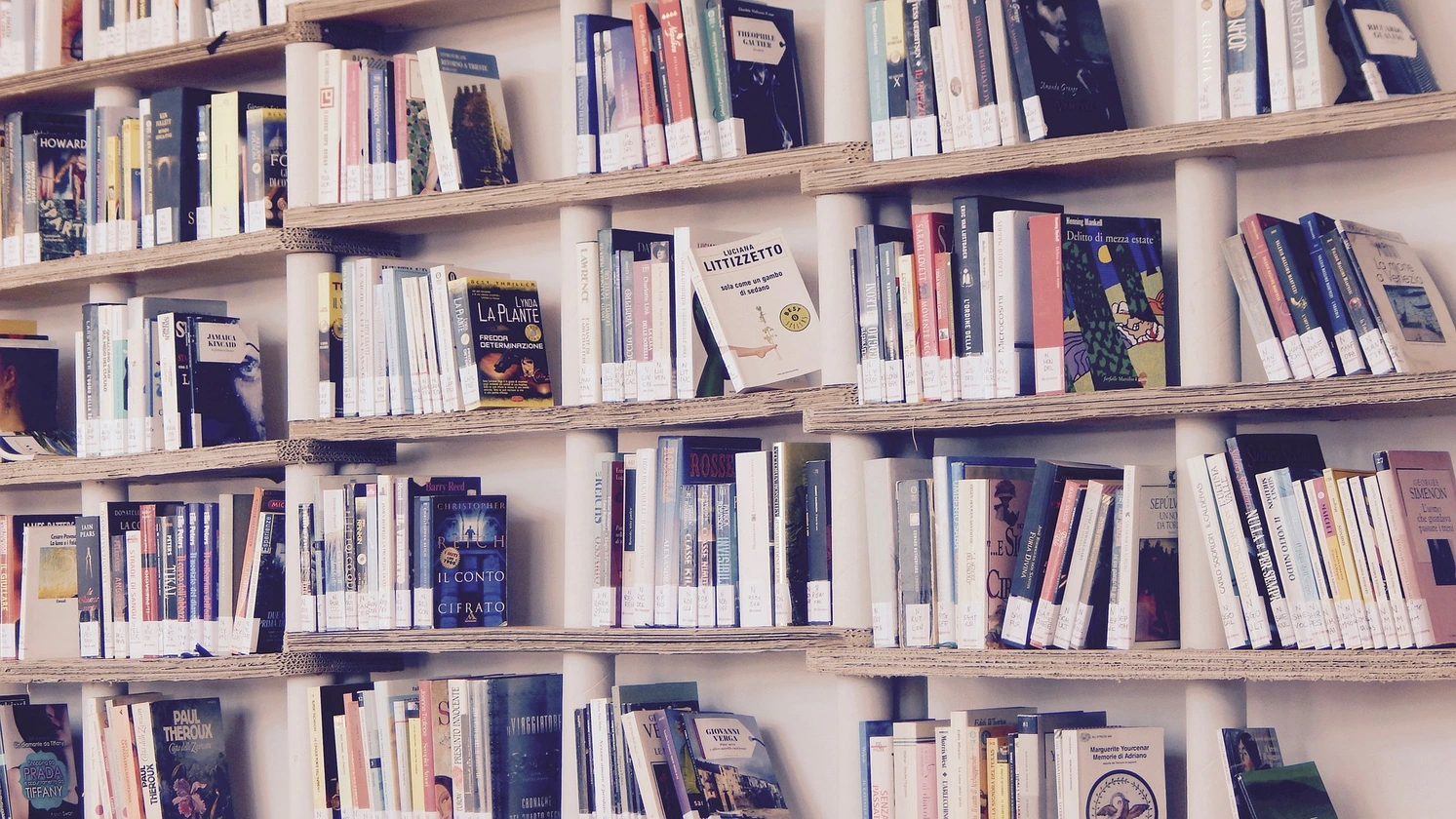Bibliothèque de livres